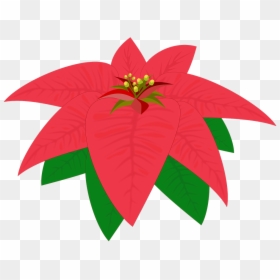 Clip Art, HD Png Download - poinsettias png