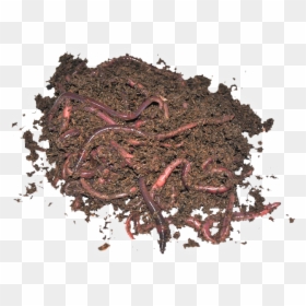 Chocolate, HD Png Download - nightcrawler png