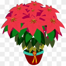 Clip Art, HD Png Download - poinsettias png