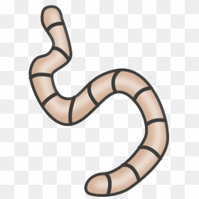 Worms Clipart, HD Png Download - nightcrawler png