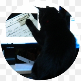 Black Cat, HD Png Download - ink smudge png