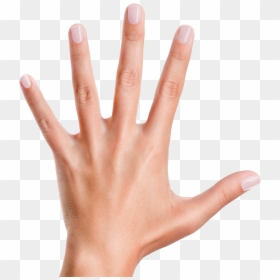 Piggy Paint Pinkie Promise, HD Png Download - nail.png