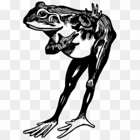 Frog Black And White, HD Png Download - bowing png
