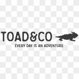 Toad & Co Logo, HD Png Download - women clothes png