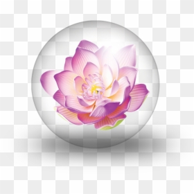 Purple Blue Red Lotus Flower, HD Png Download - psychic png