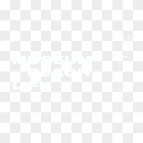 Screenshot, HD Png Download - pier png