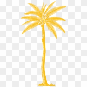 Vintage Palm Tree Ad, HD Png Download - palma png