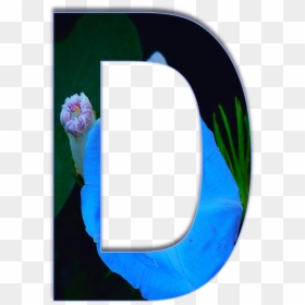 Circle, HD Png Download - z.png