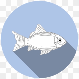 Vector Fish Icon Png, Transparent Png - food symbol png