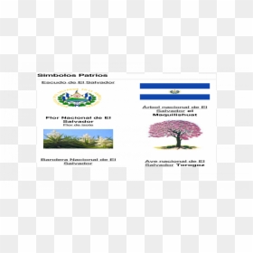 Tree, HD Png Download - bandera el salvador png