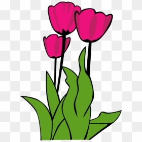 Tulip Clip Art, HD Png Download - flowerspng