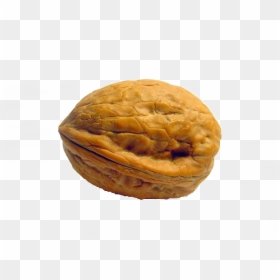 Walnut With Transparent Background, HD Png Download - nutshell png