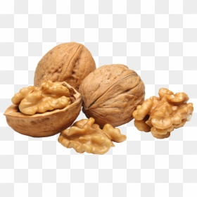 Transparent Walnut Png, Png Download - nutshell png