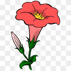 Morning Glory Flower Clipart, HD Png Download - glory png