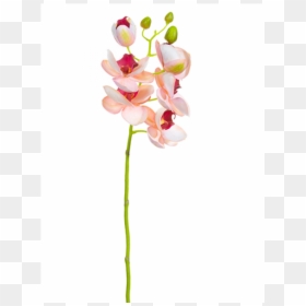 Artificial Flower, HD Png Download - pink orchid png