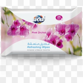 Moth Orchid, HD Png Download - pink orchid png