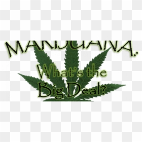Plantation, HD Png Download - marijuana leaf icon png