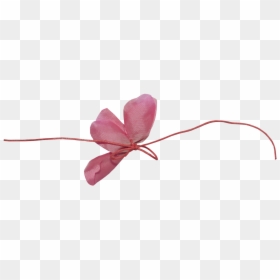 Butterfly, HD Png Download - amistad png