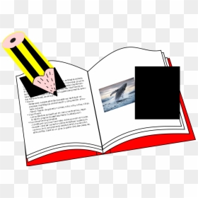Humpback Whale, HD Png Download - lengua png