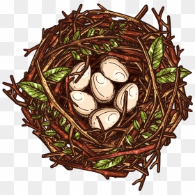 Transparent Background Bird Nest Clipart, HD Png Download - no background png