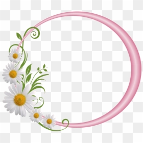 Transparent Round Frame Png, Png Download - floral frames png