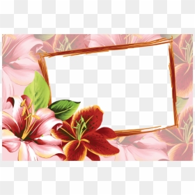 Flower Photo Frame Design Png, Transparent Png - floral frames png