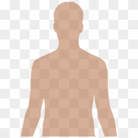 Human Upper Body Silhouette, HD Png Download - person .png