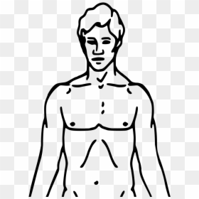Chest Clipart Black And White, HD Png Download - person .png