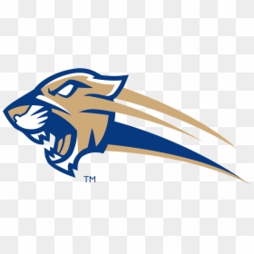 Steele Canyon High School Logo, HD Png Download - cougar logo png