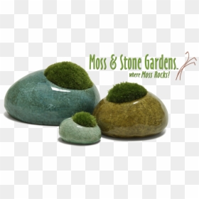 Moss Plants For Sale, HD Png Download - mossy rock png