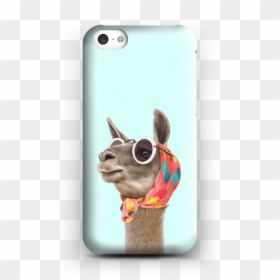 Llama Iphone Case, HD Png Download - iphone 5c png