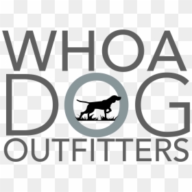 Hunting Dog, HD Png Download - whoa png