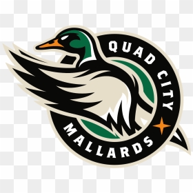 Quad City Mallards Logo, HD Png Download - mallard png