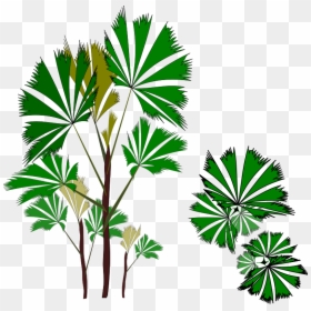 Palm Trees, HD Png Download - palmeira png