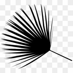 Palm Leaf Black Vector, HD Png Download - palmeira png