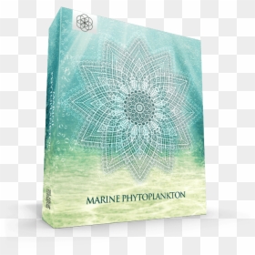 Paper, HD Png Download - phytoplankton png