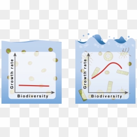 Screenshot, HD Png Download - phytoplankton png