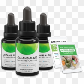 Bottle, HD Png Download - phytoplankton png