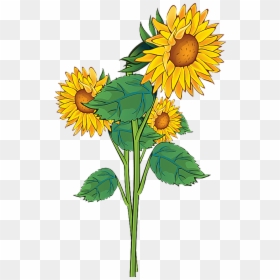 Sunflower Clip Art, HD Png Download - rebellion png