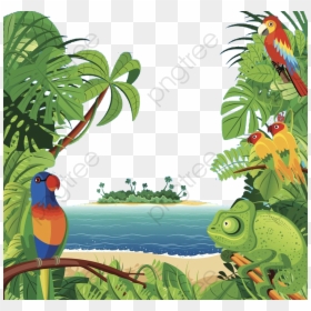 Tropical Rainforest, HD Png Download - ecosystem png