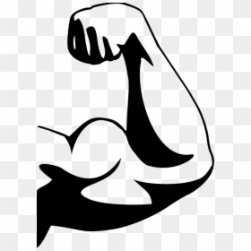 Biceps Clipart, HD Png Download - flexing png