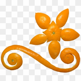 Creative Orange Peel Design, HD Png Download - orange peel png