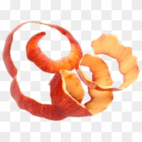 Apple Skin, HD Png Download - orange peel png