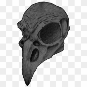 Transparent Background Bird Skull, HD Png Download - bird skull png