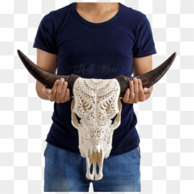 Costume Bull Skull, HD Png Download - bird skull png