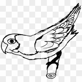 Line Art, HD Png Download - bird skull png