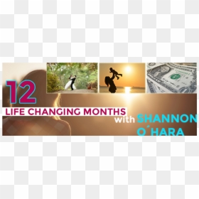 Cash, HD Png Download - colorful banner png