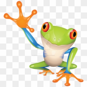 Red Eyed Tree Frog Cartoon, HD Png Download - colorful banner png