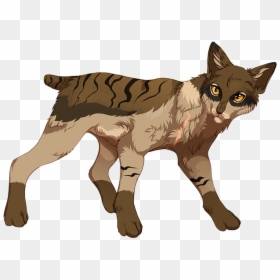 Warrior Cat With Short Tail, HD Png Download - warrior cats png