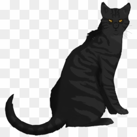Darkstripe From Warrior Cats, HD Png Download - warrior cats png